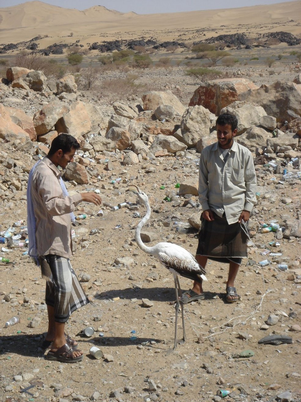 Йемен, фото № 4922 – фотографии Йемена
