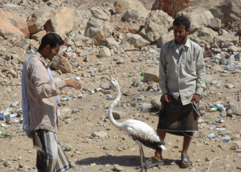 Йемен, фото № 4922 – фотографии Йемена