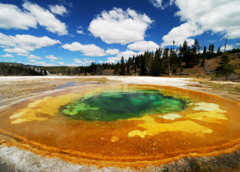 Национальный парк Йеллоустон (Yellowstone National Park). Фото 8 – фотографии США