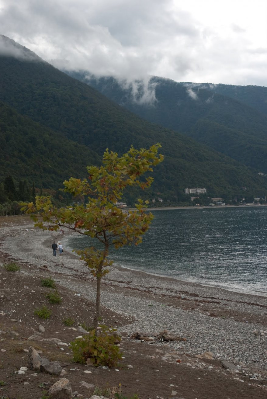 Берега в Абхазии – фотографии Абхазии