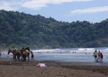 Хако, Пунтаренас провинция, Коста-Рика, фото № 41155 – фотографии Коста-Рики