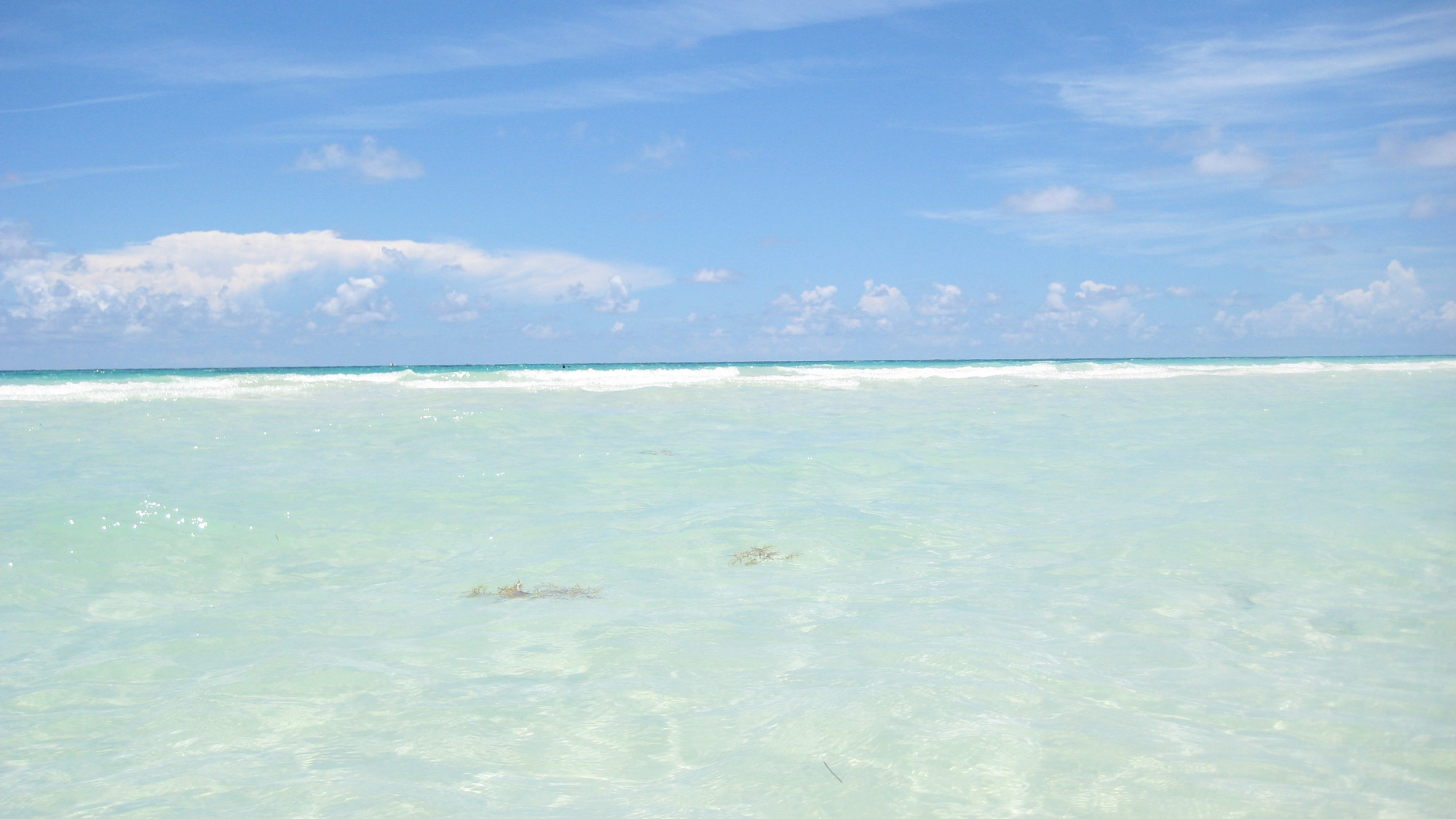 Море на острове Гранд Багама, Багамские острова. Фото 3 – фотографии Багамских островов