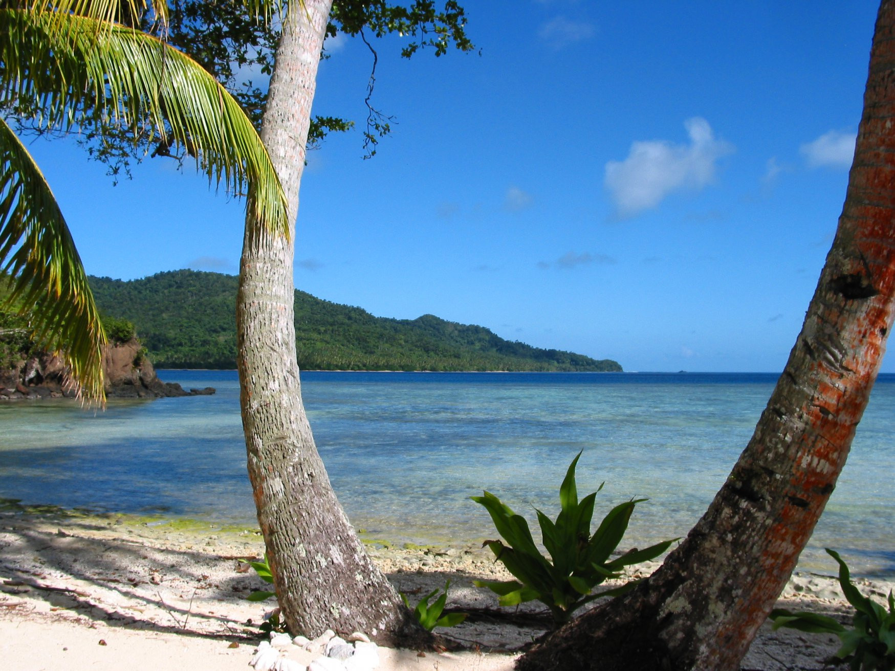 Камеа остров, Вануа Леву группа островов, Фиджи, фото № 49256 – фотографии Фиджи