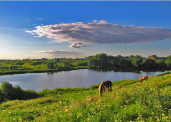 Природа в Суджа, Россия – фотографии России