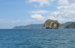 Санта Роза Национальный Парк, Гуанакасте провинция, Коста-Рика, фото № 39348 – фотографии Коста-Рики