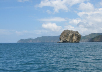 Санта Роза Национальный Парк, Гуанакасте провинция, Коста-Рика, фото № 39348 – фотографии Коста-Рики