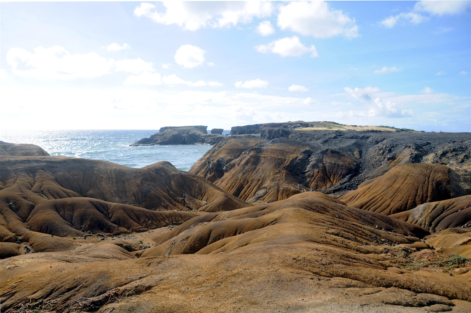 Саванна ископаемых на Мартинике – фотографии Мартиники