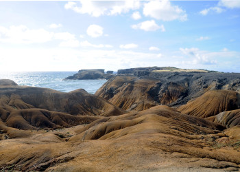 Саванна ископаемых на Мартинике – фотографии Мартиники