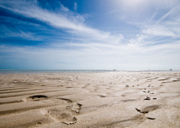 Розовый пляж на острове, Багамские острова. Фото 31 – фотографии Багамских островов