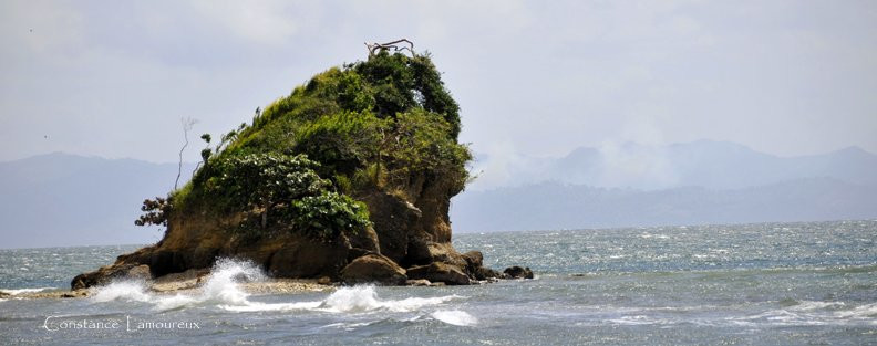 Самана, Доминикана, фото № 30619 – фотографии Доминиканы