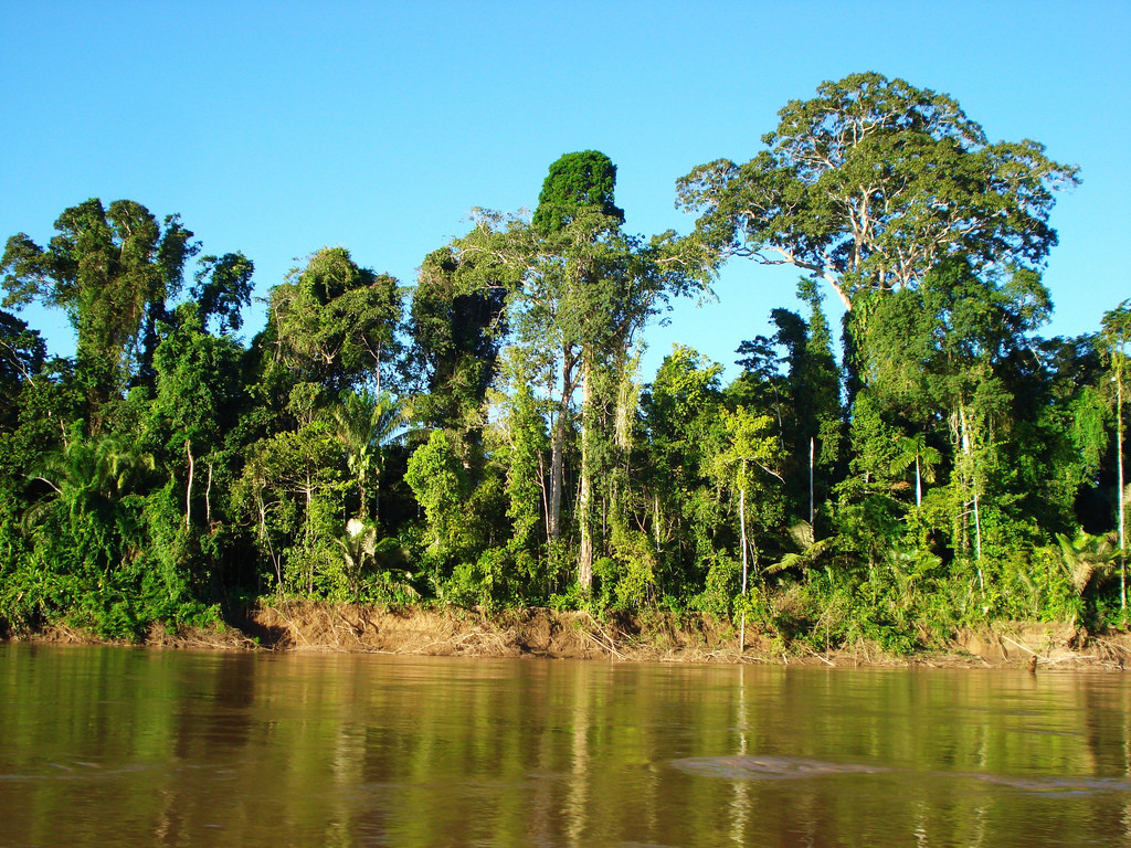 Национальный Парк Ману (Manu National Park) – фотографии Перу