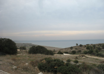 Лимассол, Кипр, фото № 38185 – фотографии Кипра