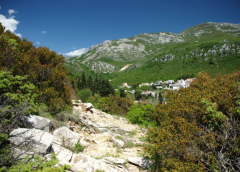 Природа в Чань, Черногория – фотографии Черногории