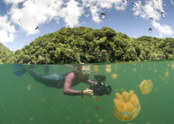 Озеру Медуз на острове Эил-Малк – фотографии Палау