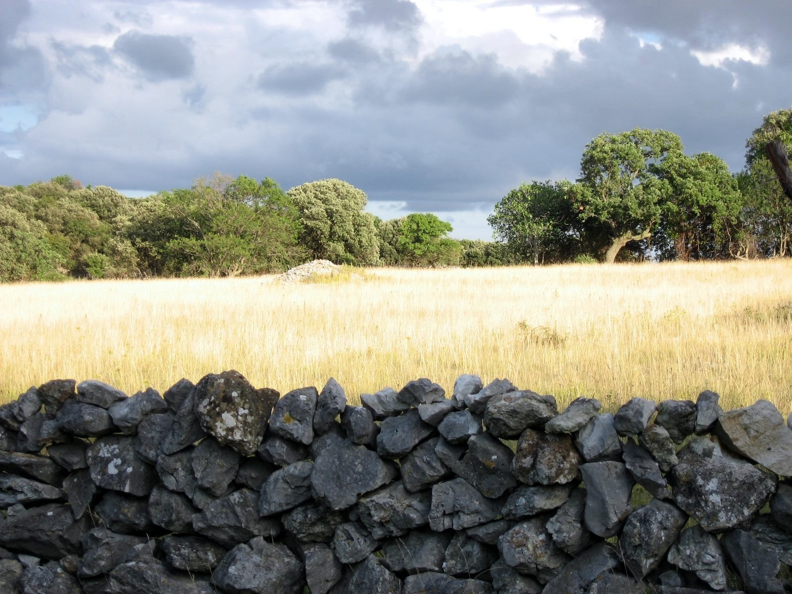 Природа на острове Лошинь, Хорватия. Фото 1 – фотографии Хорватии