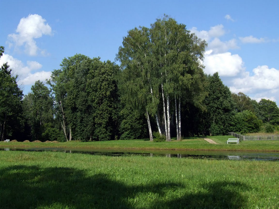 Природа в Пушкинские горы, Россия. Фото 1 – фотографии России