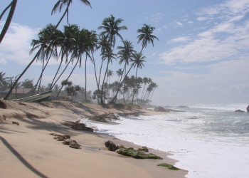 Коггала, Шри-Ланка, фото № 51550 – фотографии Шри-Ланки