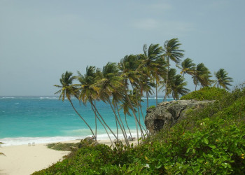 Пляж на Южном побережье, Барбадос. Фото 21 – фотографии Барбадоса