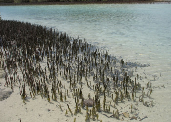 Шарм-эль-Шейх, Египет, фото № 35723 – фотографии Египта