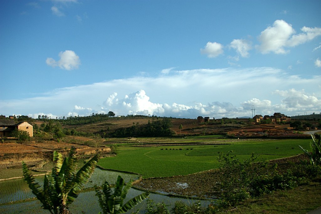 Мадагаскар, фото № 2194 – фотографии Мадагаскара