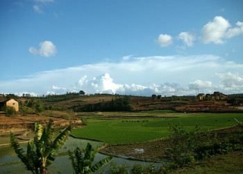 Мадагаскар, фото № 2194 – фотографии Мадагаскара