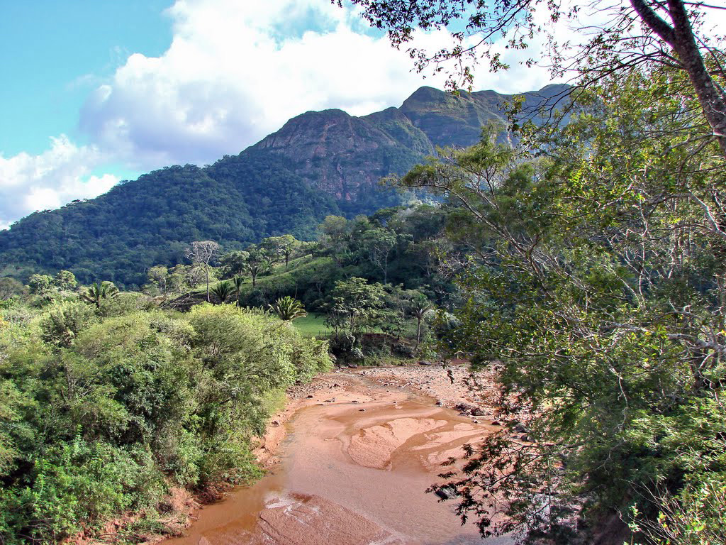 Национальный парк Амборо в Боливии – фотографии Боливии