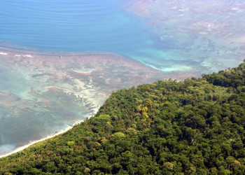 Кауита Национальный Парк, Лимон провинция, Коста-Рика, фото № 40070 – фотографии Коста-Рики