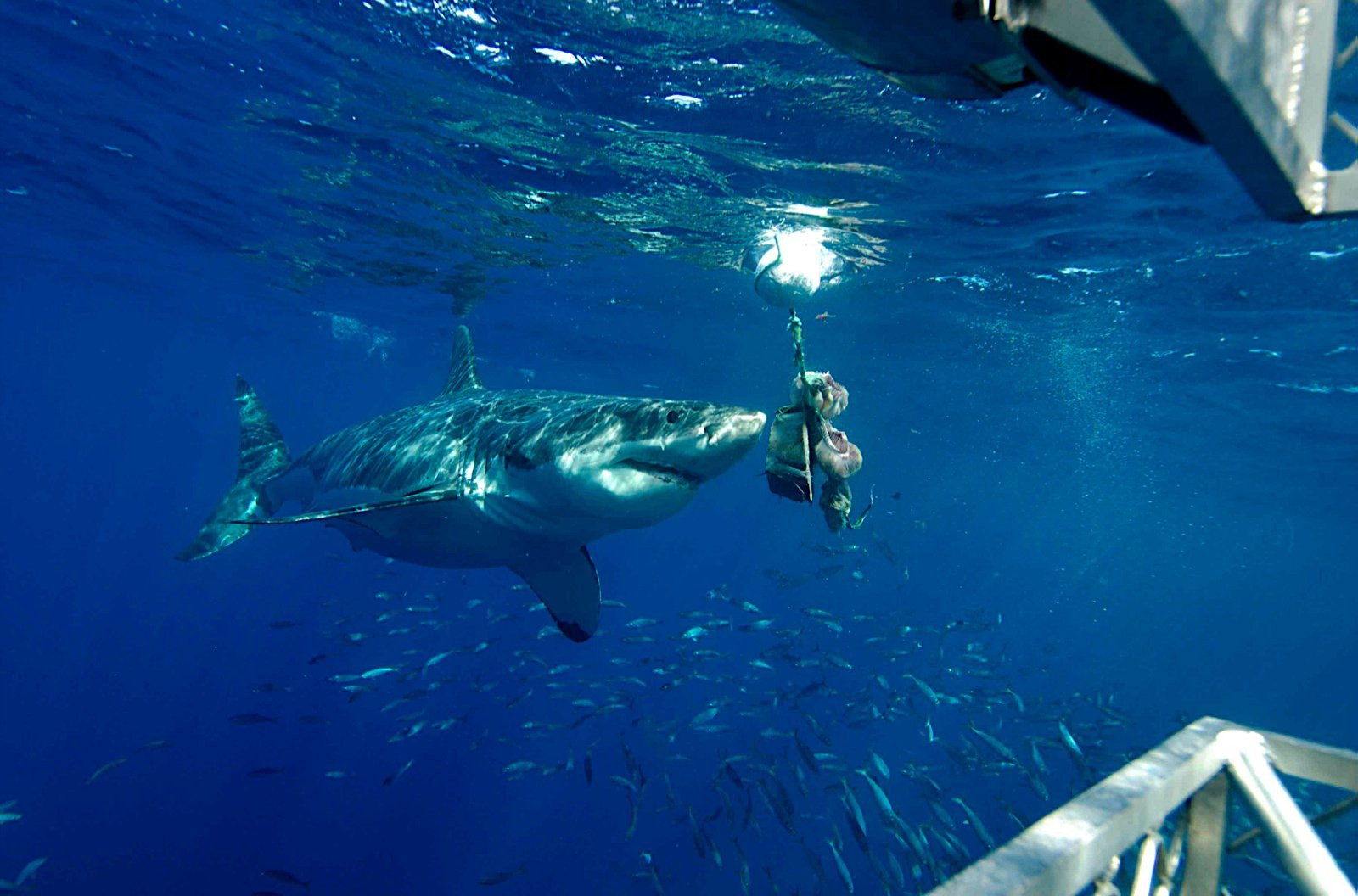 Australia – фотографии Австралии