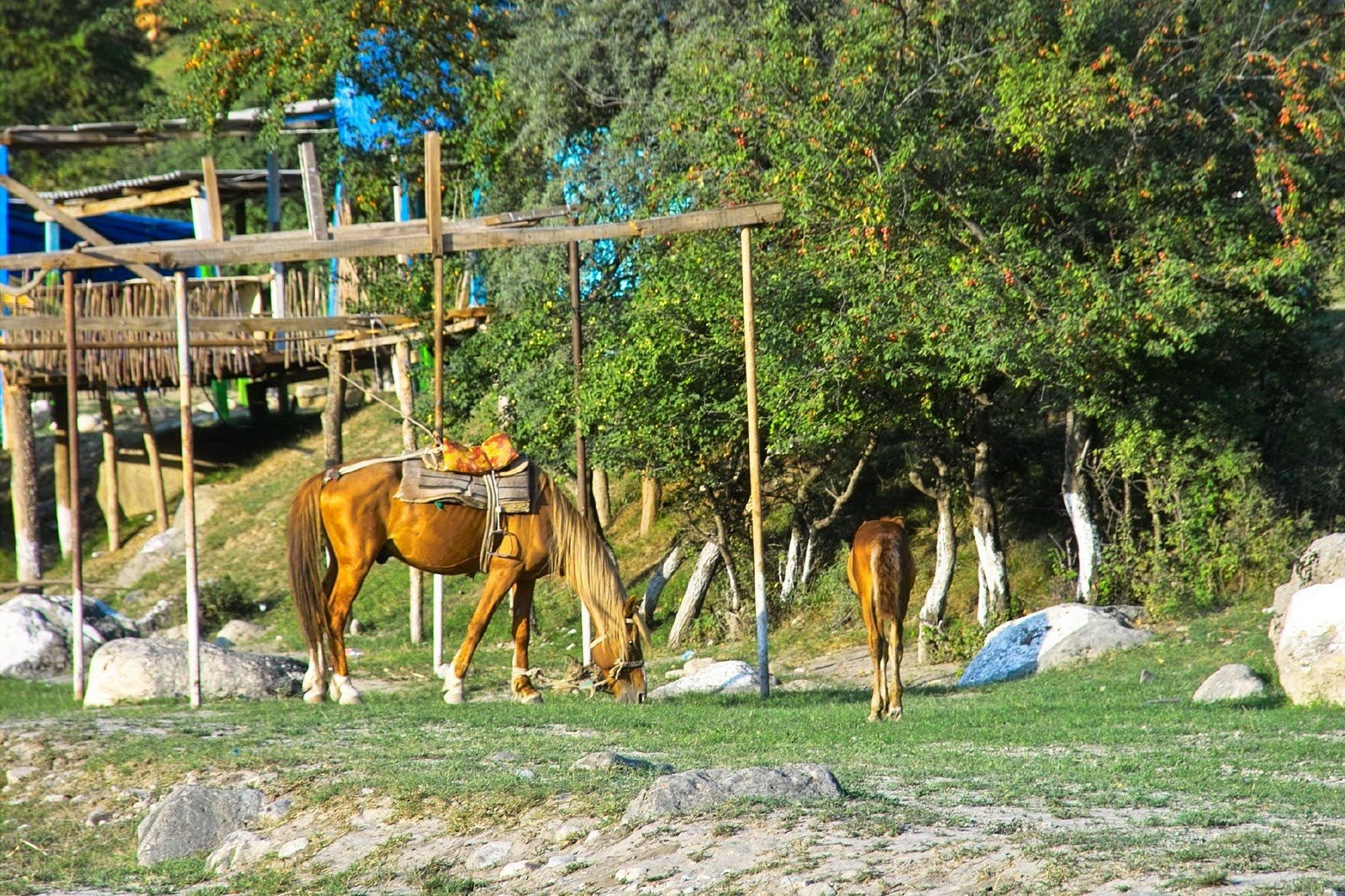 Baku – фотографии Азербайджана