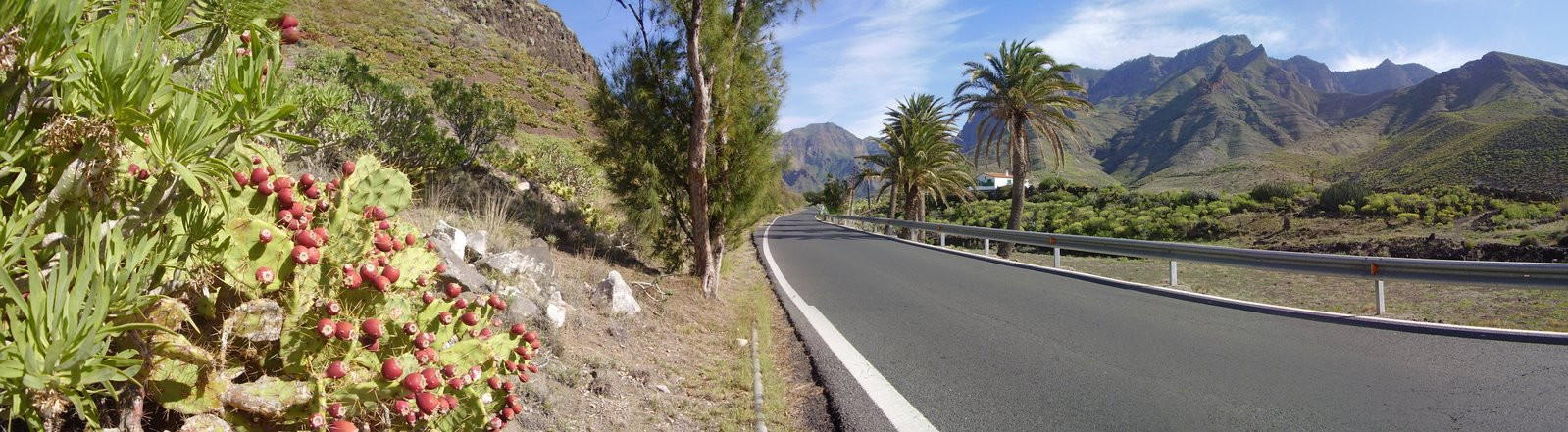 Гран-Канария остров, Канарские острова, фото № 31526 – фотографии Канарских островов