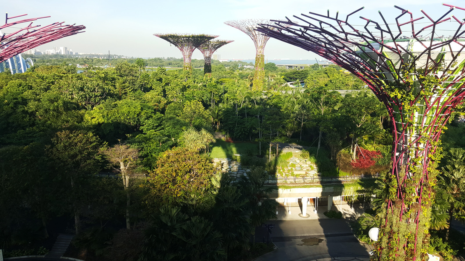 Красивый парк Gardens by the Bay у отеля Marina Sand Bay – фотографии Сингапура