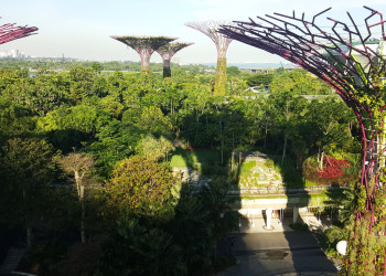 Красивый парк Gardens by the Bay у отеля Marina Sand Bay – фотографии Сингапура