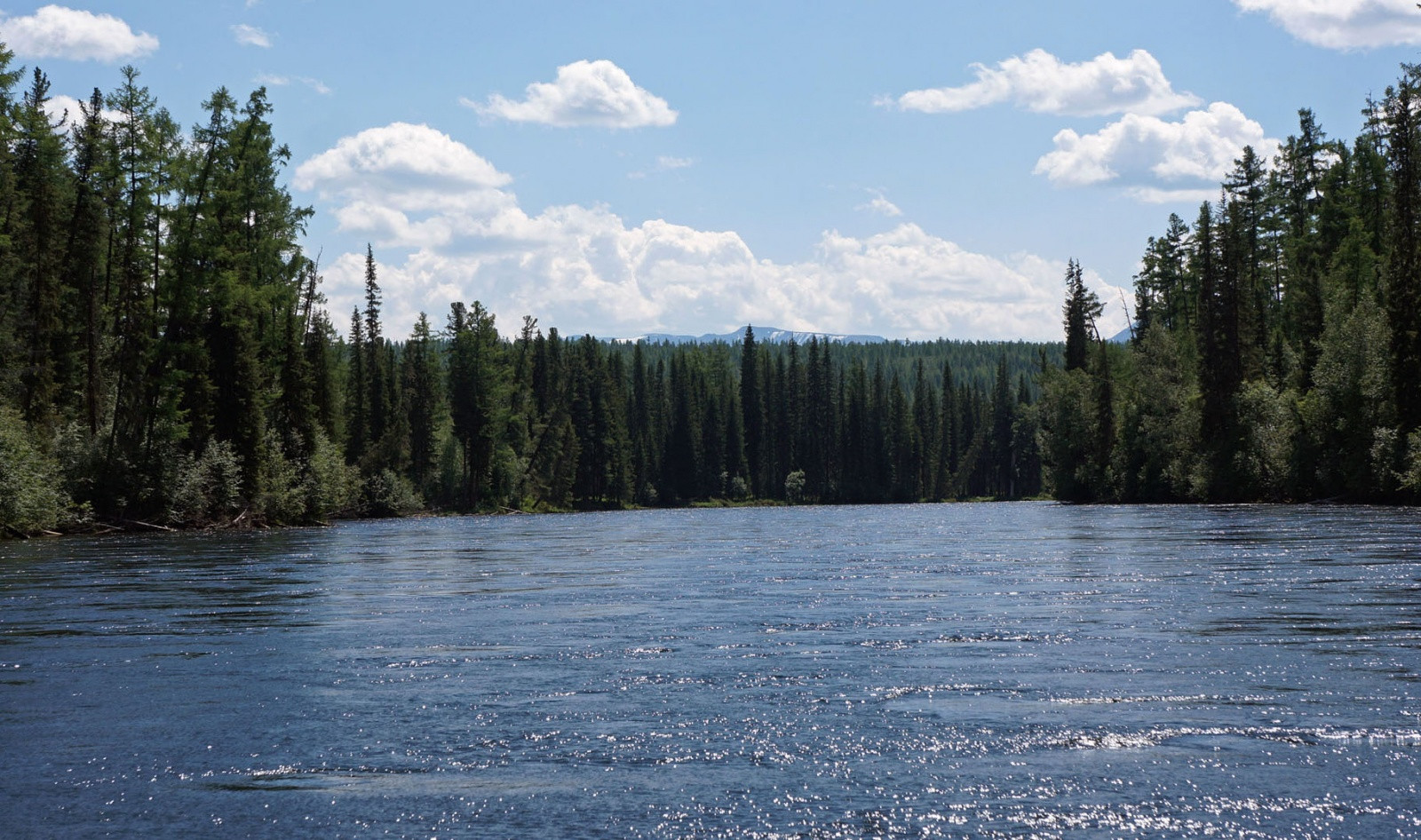 Река Хамсара в Сибири, в Восточных Саянах – фотографии России