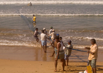Коггала, Шри-Ланка, фото № 51559 – фотографии Шри-Ланки