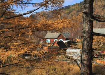 Хочу тут пожить в тишине и с чистым воздухом – фотографии России