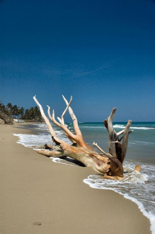 Кабарете, Доминикана, фото № 30380 – фотографии Доминиканы