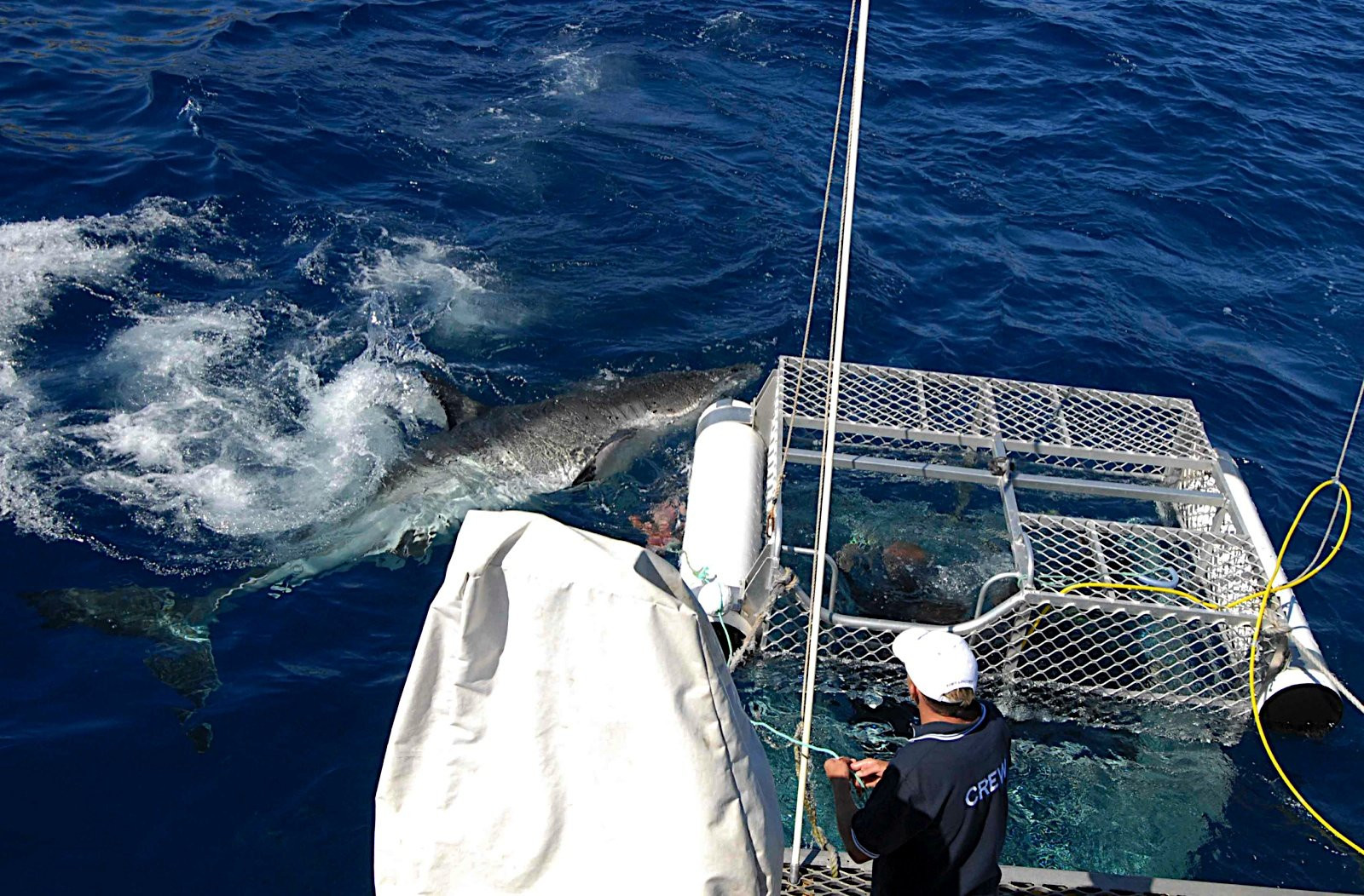 Australia – фотографии Австралии