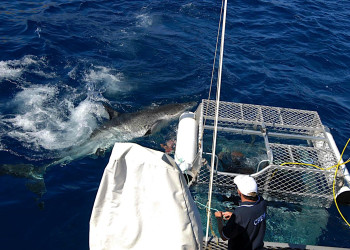 Australia – фотографии Австралии