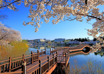 Озеро Бомун, Южная Корея – фотографии Южной Кореи