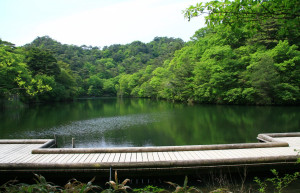 Кобе (Kobe) – фотографии Японии