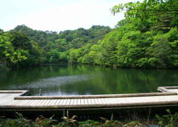 Кобе (Kobe) – фотографии Японии