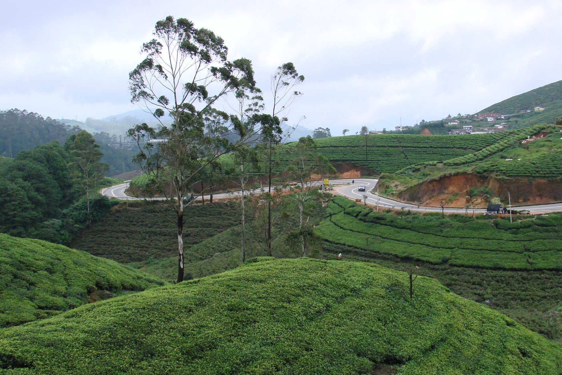 Нувара Элия, Шри-Ланка, фото № 52014 – фотографии Шри-Ланки