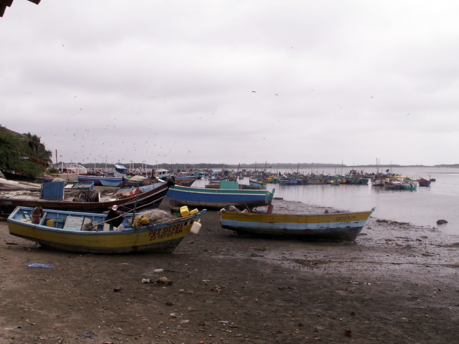 Прибрежный городок Пуэрто-Писарро (Puerto Pizarro) – фотографии Перу