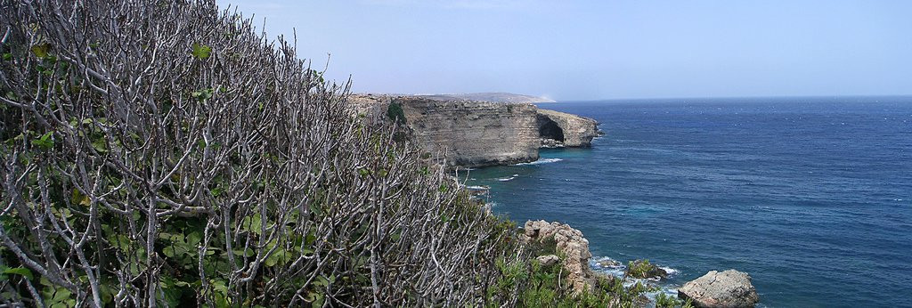 Марфа, Мальта остров, Мальта, фото № 42352 – фотографии Мальты