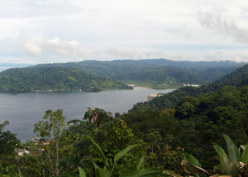 Гольфито, Пунтаренас провинция, Коста-Рика, фото № 40401 – фотографии Коста-Рики