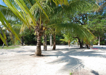 Гватемала, фото № 3901 – фотографии Гватемалы