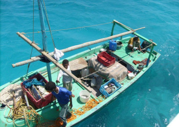 Шарм-эль-Шейх, Египет, фото № 35667 – фотографии Египта