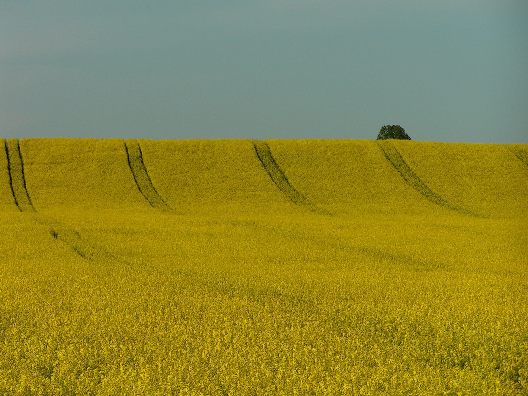 Вац, Венгрия, фото № 70096 – фотографии Венгрии