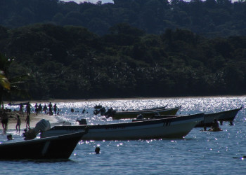 Манзанилло, Лимон провинция, Коста-Рика, фото № 40120 – фотографии Коста-Рики