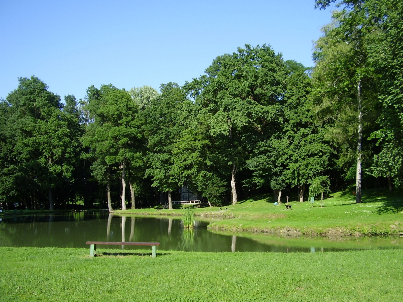 Нашице (Našice) – фотографии Хорватии